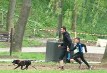 Canicross staffie: comment bien débuter ce sport ? Canicross staffie: comment bien débuter ce sport ?